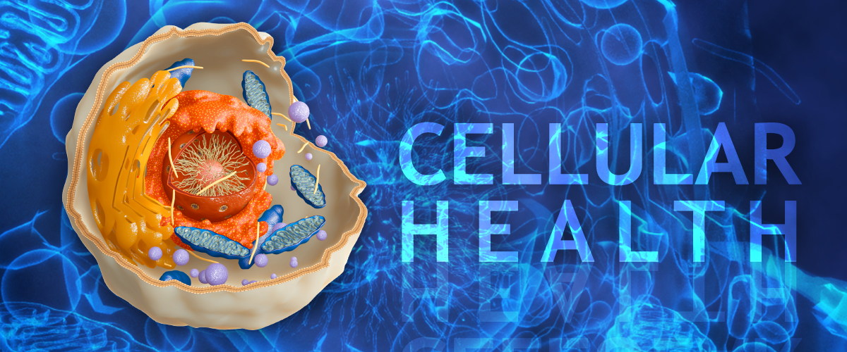 cell-health.png (1200&times;500)
